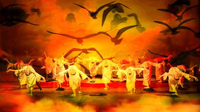 Из жизни белых птиц..mp4