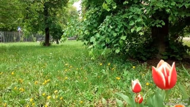 ...на память... в телефоне... смотреть онлайн