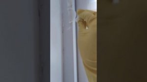 Как очистить пластиковую дверь от загрязнений