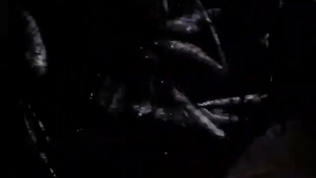 Рыбалка в севастополе смотреть онлайн
