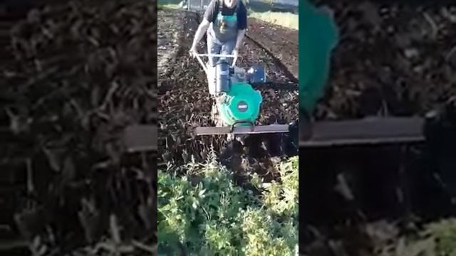 Мотоблок Варяг (культивация) смотреть онлайн