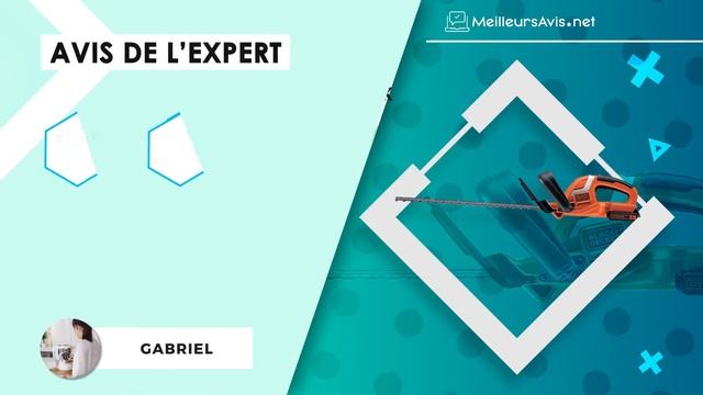 ⭐️ MEILLEUR TAILLE-HAIE ÉLECTRIQUE - Avis & Guide d'achat (Comparatif 2021) смотреть онлайн
