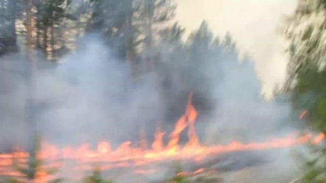 Проверка видеосъемки на Olympus Tough TG-820 iHS смотреть онлайн