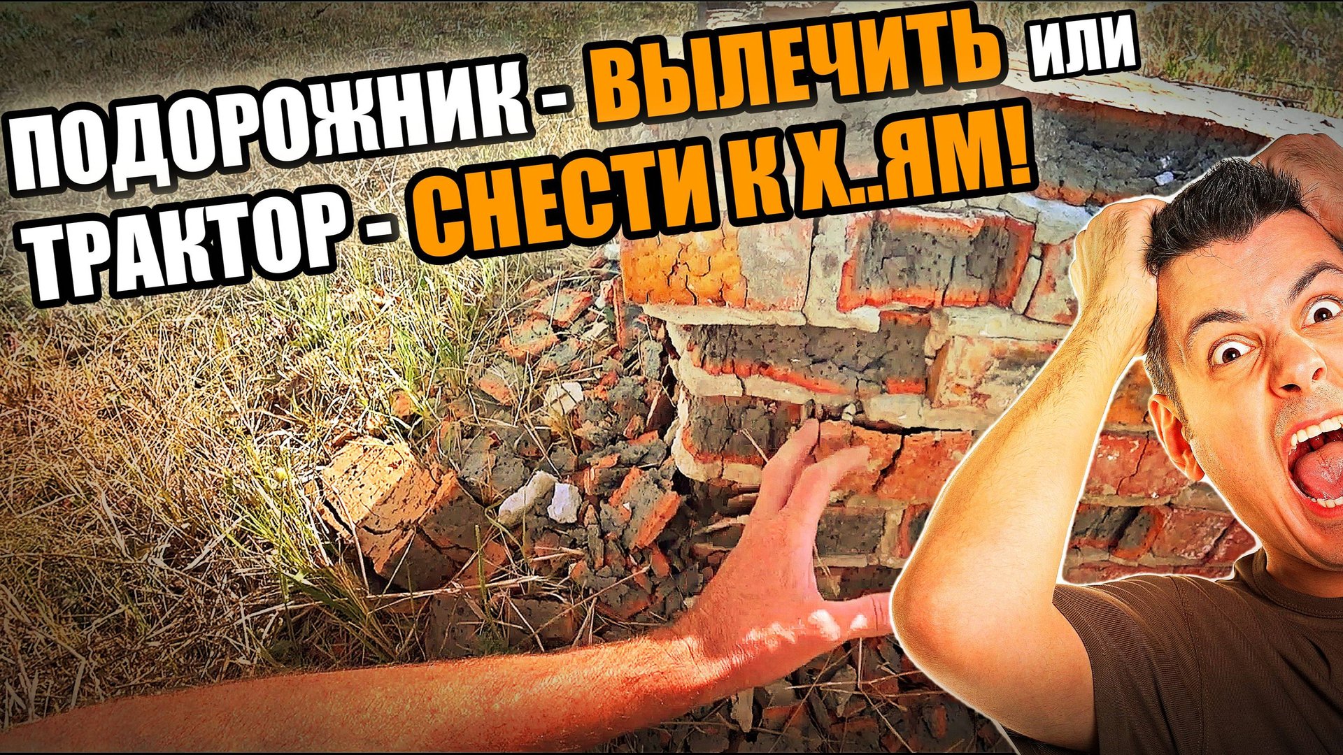 Разрушился ЦОКОЛЬ! Что делать? Как этого избежать? Вылечить или снести к Х...ЯМ? смотреть онлайн