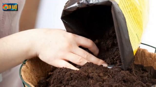 Нужен ли торф для рассады и чем его можно заменить? смотреть онлайн