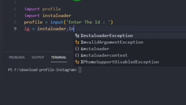download profile Instagram by id in python #programmer #python #instagram смотреть онлайн