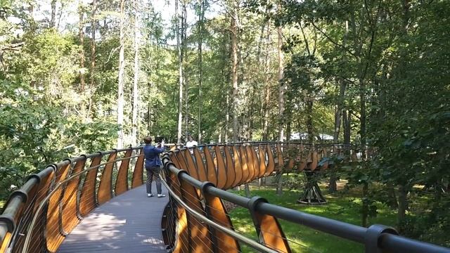Экотропа на ВДНХ смотреть онлайн