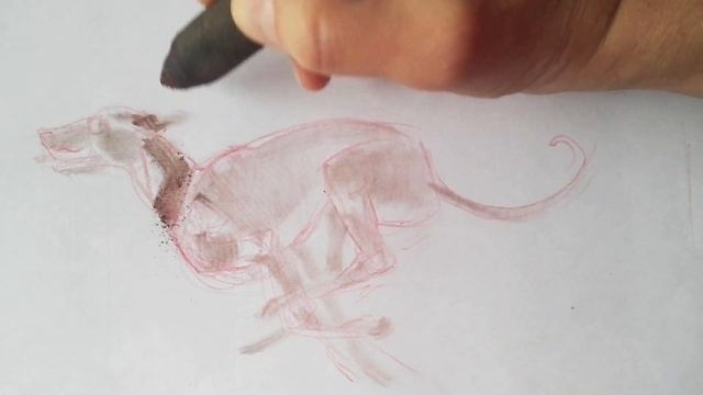 20200414 набросок собаки в движении / sketch of a dog in motion смотреть онлайн