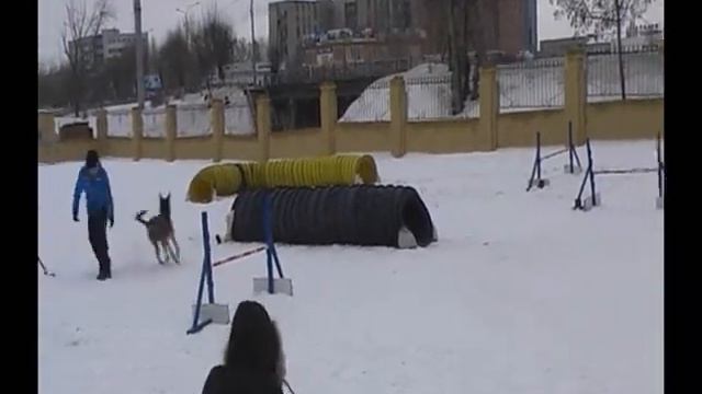 Наташа и Ерш смотреть онлайн