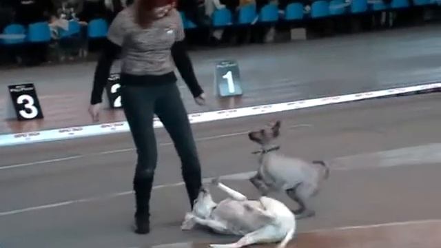 Еще немного Цирка смотреть онлайн