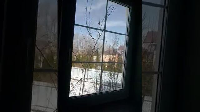 Продажа дома КП Крючково Новорижское шоссе 8(999)8636865 смотреть онлайн