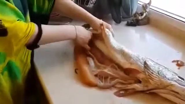 Щука икра смотреть онлайн