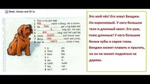 ГДЗ рабочая тетрадь по английскому языку 3 класс Страница.41 Быкова. Дули