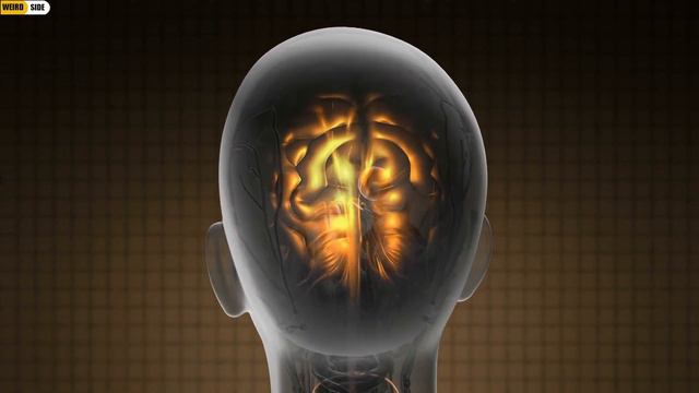 What is Deja Vu and Why it happens смотреть онлайн