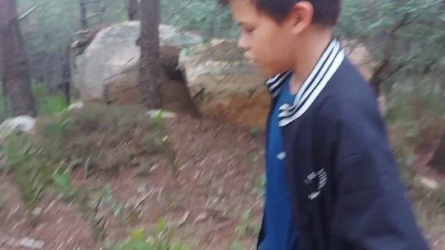 Тихая охота за грибами в Португалии!!!!! смотреть онлайн