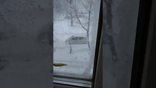 вот что называется конец апреля *(Я ОФИГЕЛ ОТ УВИДЕНОГО)* смотреть онлайн