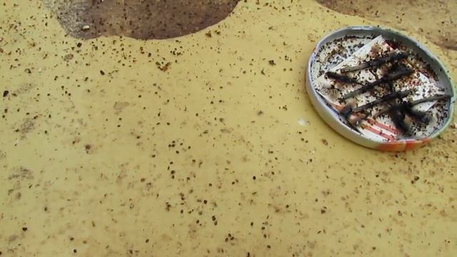 ответы на вопросы - как я обрабатываю пчел от клеща Варроа в сентябре , обновление 16.09.2023