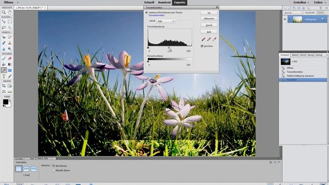 Photoshop Elements - Einführung in die Bildbearbeitung смотреть онлайн