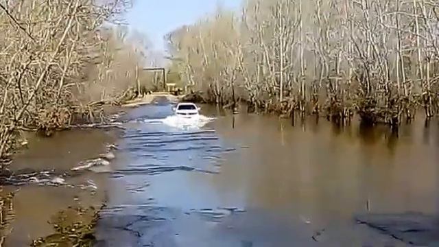 урал уже обмелел смотреть онлайн