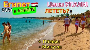 Египет в АПРЕЛЕ: Цены РУХНУЛИ! А СТОИТ ли ЕХАТЬ? Египет 2024