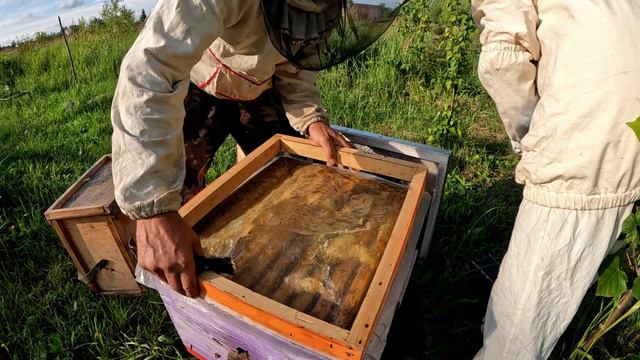 Качаем мёд с домашнего точка смотреть онлайн