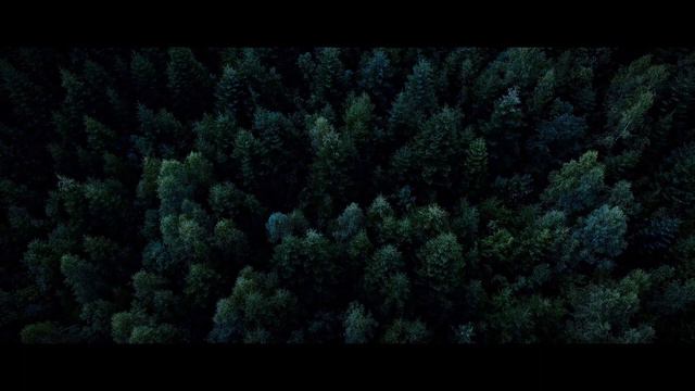 HEIR OF THE WITCH Teaser Trailer 2023 Horror Movie смотреть онлайн