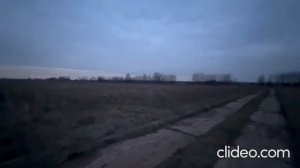 Охота на лисицу с манком (крик раненого зайца)!