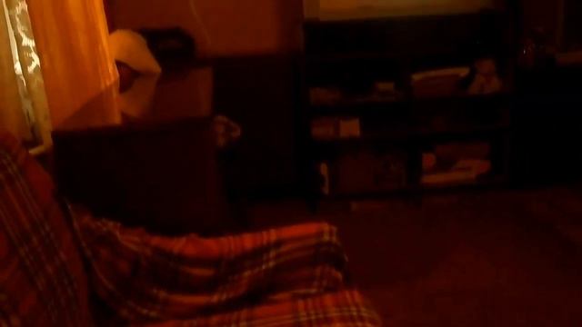 Мелитополь сегодня 12.11.2022 немного отдыха ... смотреть онлайн