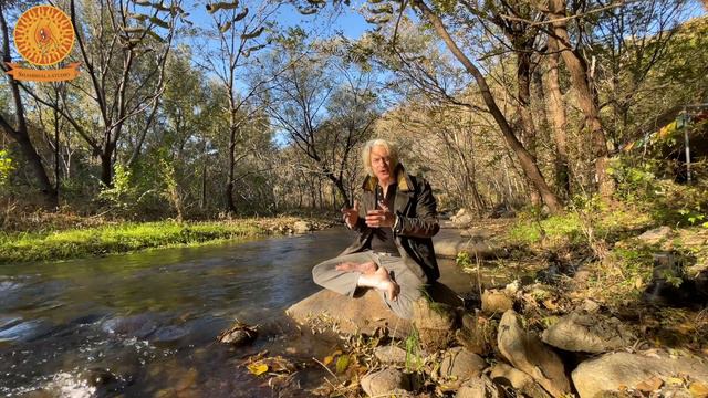 What is a Dakini? A Muse? A Goddess? смотреть онлайн