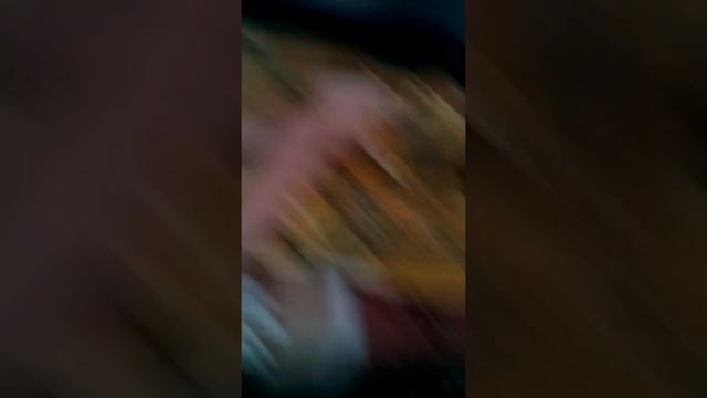 Челлендж Разбудить Сестру смотреть онлайн