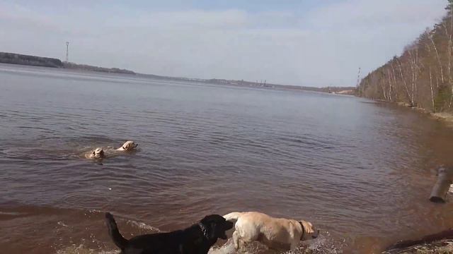 29.04.2017 открытие купального сезона. смотреть онлайн