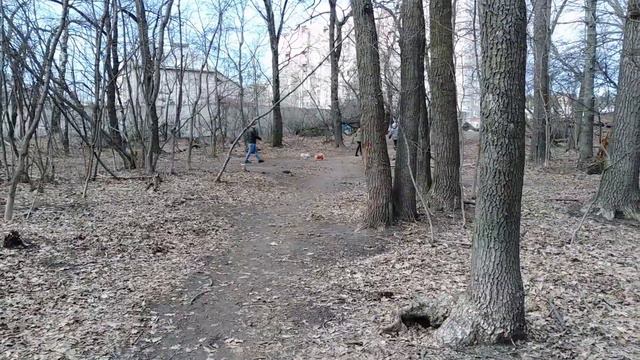 Гуляем с амстаффом по району встречаем собак смотреть онлайн