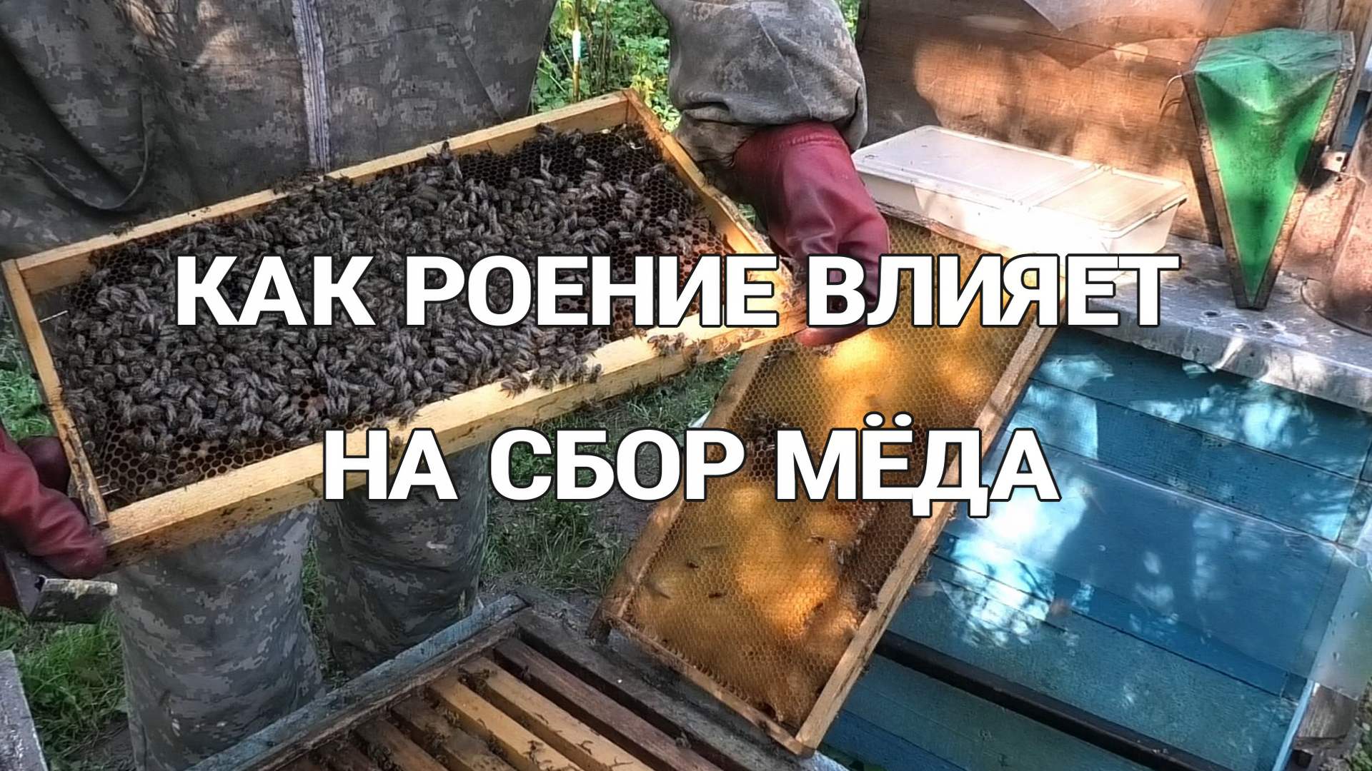 ОСМОТР СЕМЕЙ НА 3 АВГУСТА. смотреть онлайн