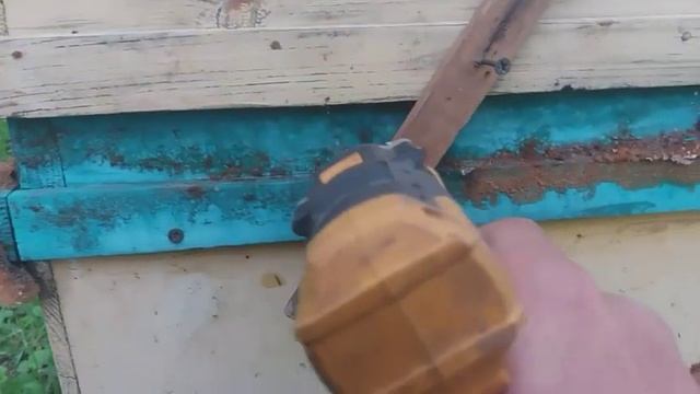 начало цветение акации, выезд пчелосемей- пчеловодство. смотреть онлайн