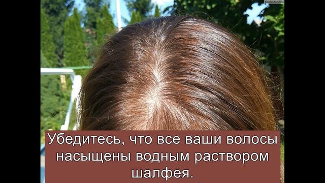 ТРИ ПРОСТЫХ СПОСОБА ЕСТЕСТВЕННОЙ ОКРАСКИ СЕДЫХ ВОЛОС В ДОМАШНИХ УСЛОВИЯХ смотреть онлайн