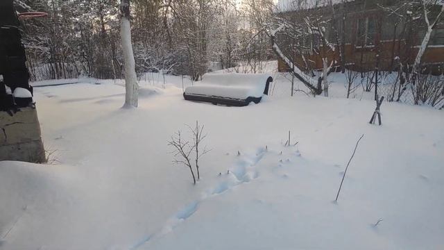 05.12.21.моя Дача в декабре.. ? смотреть онлайн