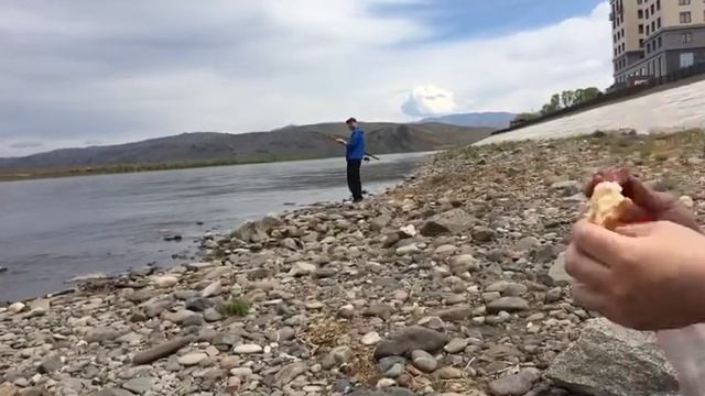 Дикая рыбалка бороды смотреть онлайн