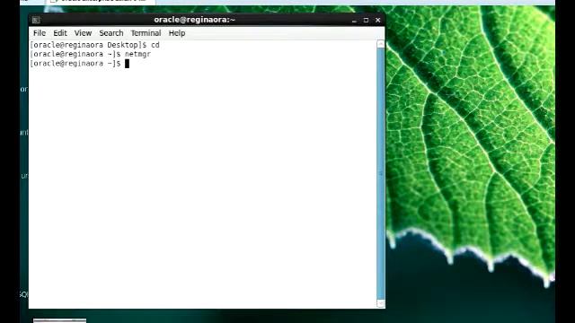 Using Oracle Net Manager(netmgr) to create a Service Name and Listener смотреть онлайн