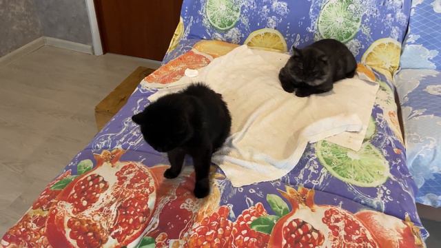 ЗИМА НА ПОРОГЕ смотреть онлайн