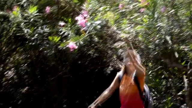 Джилабон и Девора