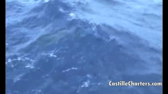 Giant Black Marlin Compilation!!! смотреть онлайн