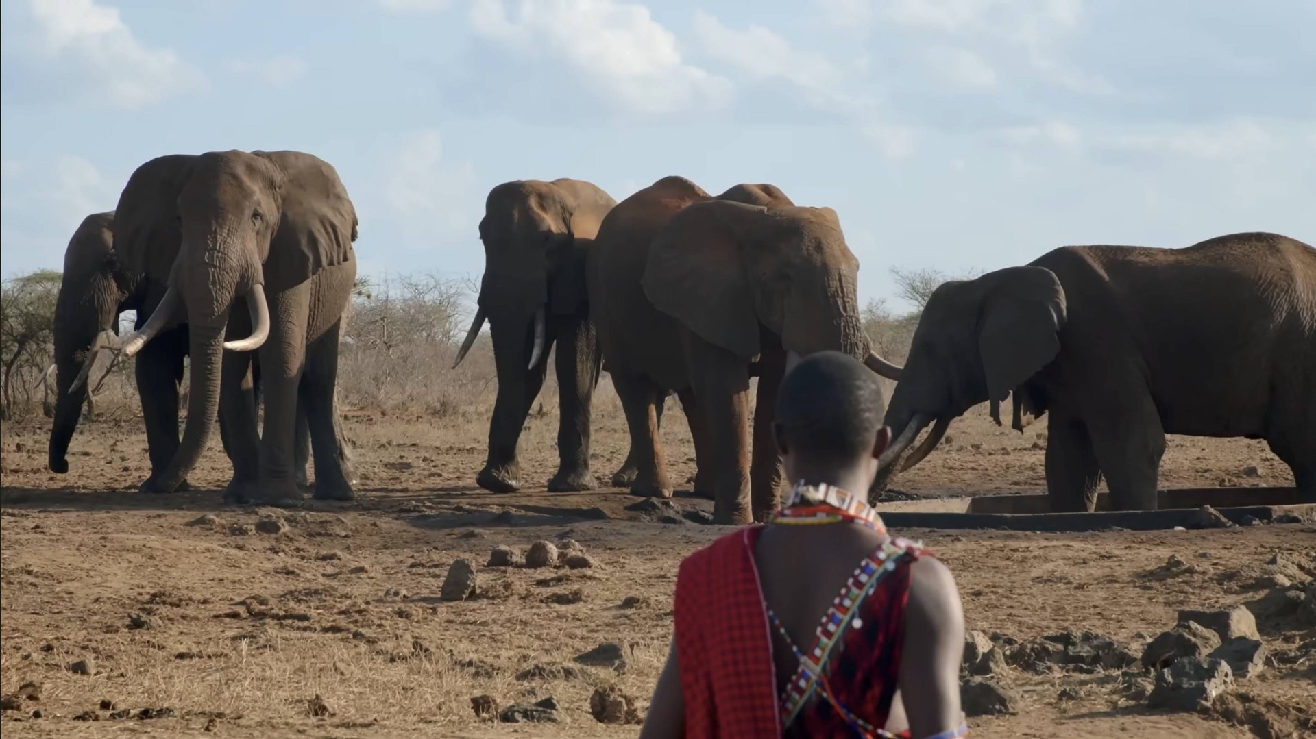 Спасаем Исчезающих Животных от Вымирания смотреть онлайн
