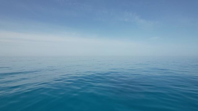 СИНИЕ НОТЫ смотреть онлайн