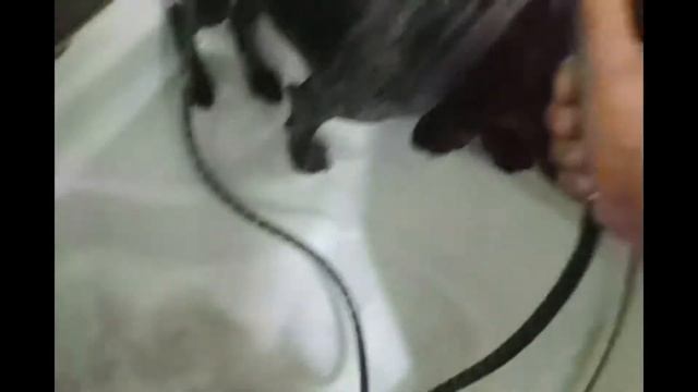 стричь или не стричь ... Русский Спаниель смотреть онлайн