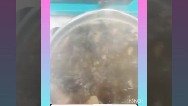 Суп из грибов#Едим и худеем🧐🤩 смотреть онлайн