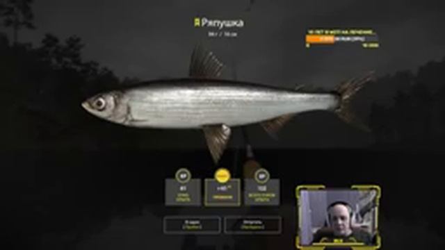 Ламповый стрим 04.05.2022 Часть 2 ✮ Русская рыбалка 4 ✮ смотреть онлайн