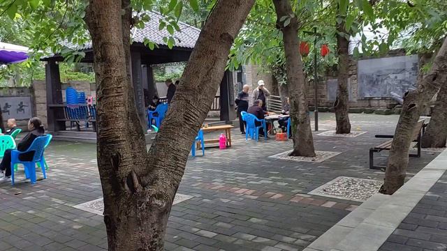 Skyscrapers And Skyways: Immersive 4D Tour Of Chongqing's Cityscape