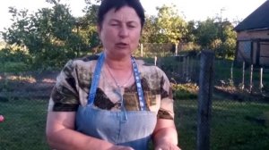 Лук. Чеснок. Вредители. Методы борьбы