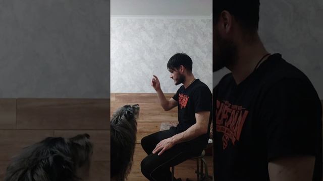 Дикабразик Молодец обоняние такое же сильное/) смотреть онлайн