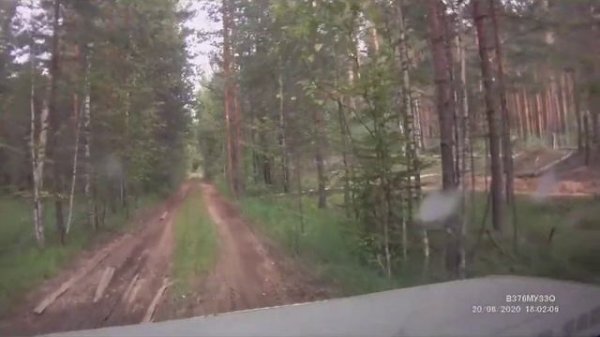 Лесная поездка на внедорожнике Опель Монтерей (Opel Monterey) по килемарскому заповеднику